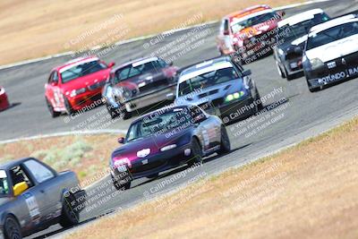 media/May-06-2023-Lucky Dog Racing (Sat) [[8f2256f436]]/Turn 2 10a/